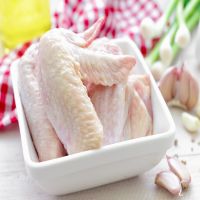 Fresh Frozen Chicken wings/Chicken joint wings/ whole Chicken For sale