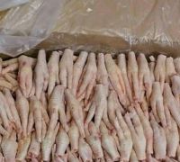 Whole Frozen Chicken feet, wings, breast, legs, liver , gizzard low price
