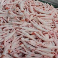 FROZEN HALAL CHICKEN FEET