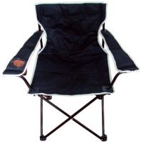 Sell ZQ009  BEACH CHAIR