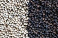 Quality white pepper and also black pepper available