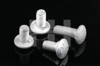 guard bolt/guardrail bolts