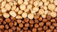 100% NUTS IN SHELL ROASTED HAZELNUTS FOR SALE - BUY 100% HAZELNUTS
