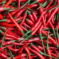 RED CHILLIES