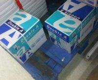 Double A A4 paper in 20ft container a4 paper 70 gsm