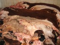 dry raw cow hides skin for soft and elastic leather