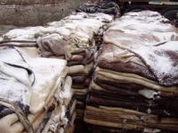 Wholesale private label best raw wet salted cattle hides