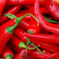 Fresh Red Chilli Pepper for sale