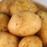 Fresh Potatoes for sale