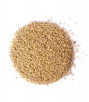 Mustard Seed for sale