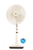 Pedestal Fan (PAK FANS)