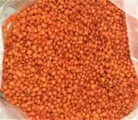 Red Lentils/ Canada Red Lentils / Red Split and Football Red type Red Lentils