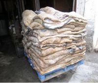 Wet salted donkey hide/Wet salted cow hide