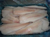 Frozen Alaska Pollock Fish/ Salmon fish