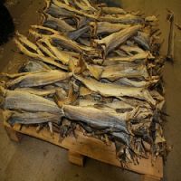 Dry Stock Fish, dried salted cod, Dry Stock Fish Head
