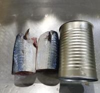 Jack Mackerel Canned