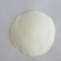 Sodium Starch Glycolate/SSG/CAS NO.9063-38-1