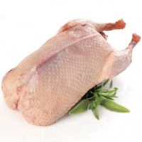 Frozen whole duck