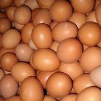 Fresh chicken white and brown eggs