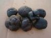 Sell frozen\fresh truffles