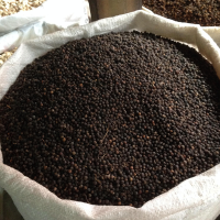 coconut shell activated carbon