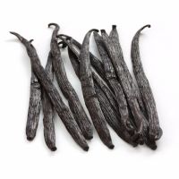 VANILLA BEANS