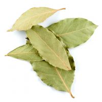 BAY LEAVES