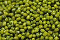 GREEN MUNG BEANS