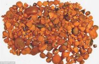 Ox Gallstones