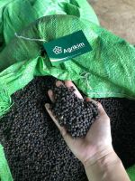 BLACK PEPPER VIETNAM ORIGIN