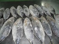 Sea Food Frozen Black Tilapia Fish with cheap price