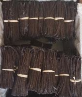 High quality Madagascar vanilla beans with reasonable price and fast delivery !!