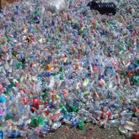 HDPE Milk Bottles/Plastic Scraps/HDPE Scraps!