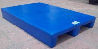 Molded Plastic Pallets - 2 Way Entry Rackable