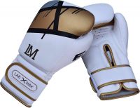 Manufacturers of Boxing Gloves