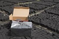 Cocoanut Shell Charcoal