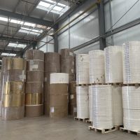 Paper cup paper food grade single wall pe coated paper cup raw material roll wholesale