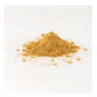 Wholesale Premium Quality Mustard Seed Powder Seasoning Powder Single Spices