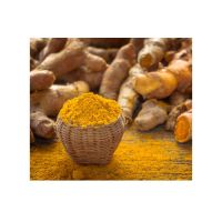 Hot Sale Tumeric Extract Powder/100% Tumeric Curcumin 95% Powder Extract