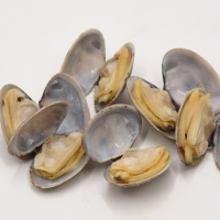 Frozen short necked clam with halfshell IQF