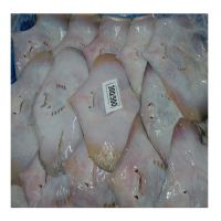 QUALITY FROZEN STINGRAY FISH