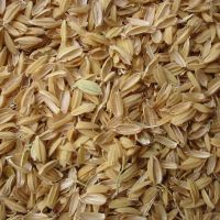 High Quality Cheap Price Agricultural Waste Rice Husk