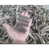 Sea cucumber (dried) - top selling brand