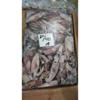 Frozen loligo squid (WR) for sale