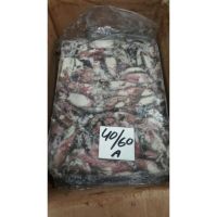 Frozen loligo squid (W/R) supplier