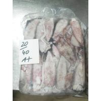 HACCP certified frozen whole round loligo squid