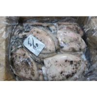 Cuttlefish Available At Wholesale Rate