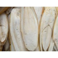 Cuttlefish Bone Supplier