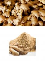 Ginger On Sale In Nigeria