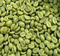 green coffee beans